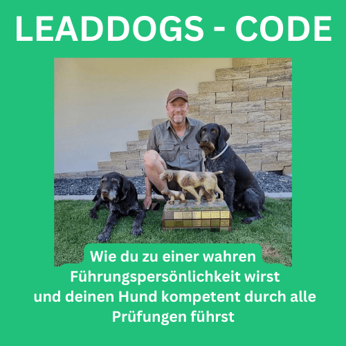 leaddogs